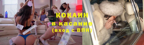 стафф Арсеньев