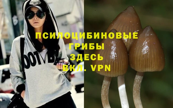 стаф Балабаново