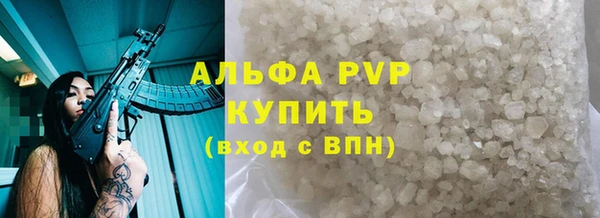 стафф Арсеньев