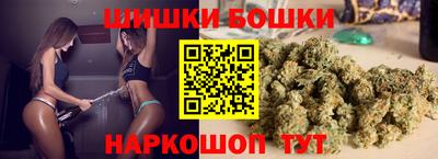 шишки Гагарин
