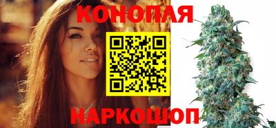 мяу мяу мука Гай
