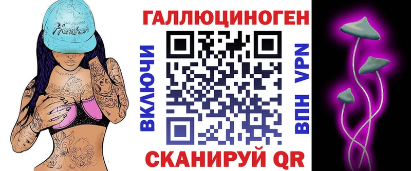 kraken зеркало  Новодвинск  Псилоцибиновые грибы мицелий 