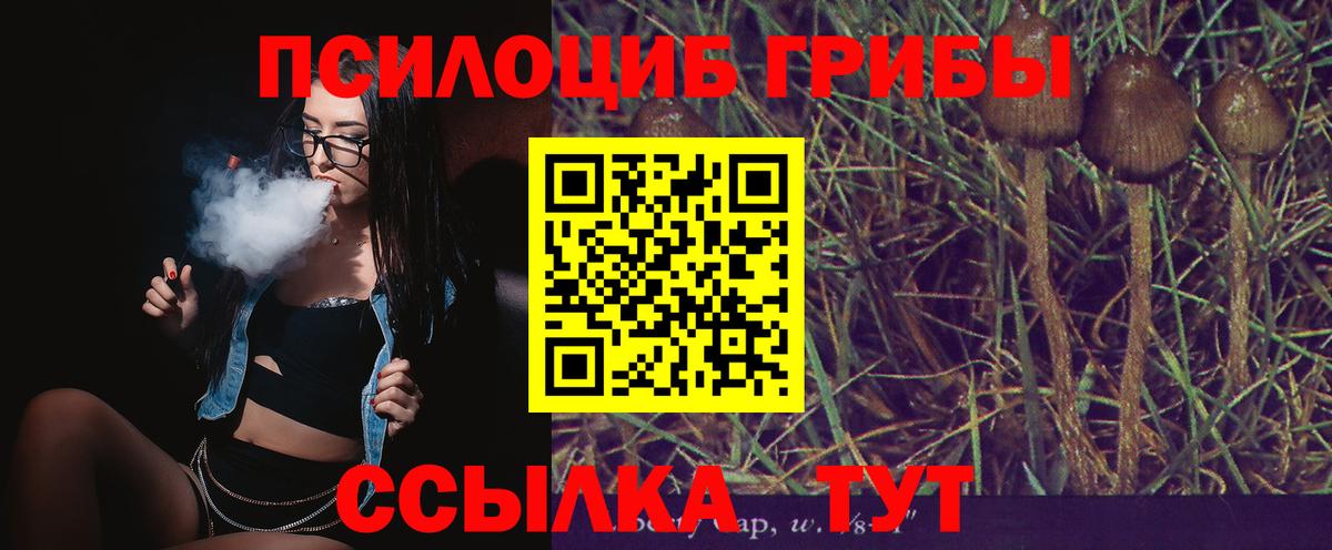 Галлюциногенные грибы ЛСД Новодвинск
