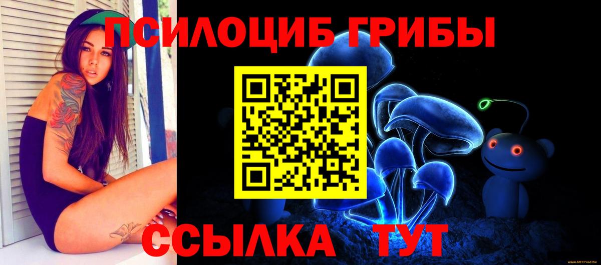 Новодвинск  Галлюциногенные грибы Psilocybe  Вход с VPN 