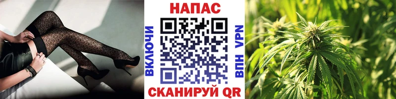 hydra ССЫЛКА  Новодвинск  Бошки Шишки OG Kush 